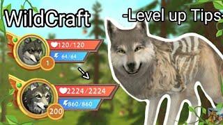 WildCraft -Level up Tips- How To Level up fast 