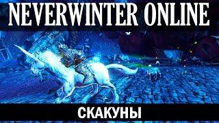 NEVERWINTER ONLINE - Скакуны