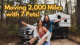 It's MOVING DAY! - Move 2,000 miles across the US with my pets and plants!