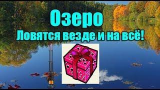 РР3, Новогодний подарок № 5