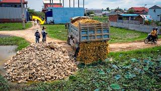 Start a New Project! Landfill on Flooded Area by Dozer D20P & 5Ton Truck Pushing Stone Into Water