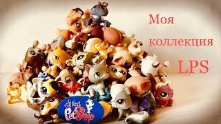 LPS: Вся моя КОЛЛЕКЦИЯ  Lps  2018 г/ Littlest Pet Shop COLLECTION