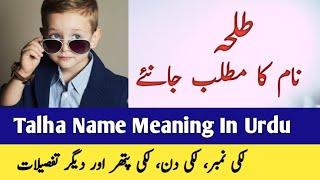 Talha Name Meaning In Urdu || Talha Naam Ka Matlab || طلحہ نام کے معنی ||