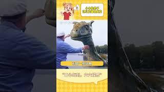 小小的老子還那么相信 #百慕大三角 #尼斯湖水怪 #世界未解之謎