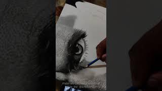 How to blend Graphite smoothly using watercolour brush