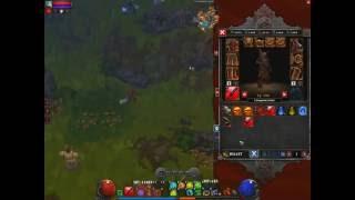 Torchlight 2 Инженер ТОП или Саппорт