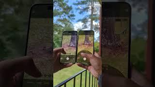 IPhone 14 Pro Max VS IPhone 15 Pro Max - Design & Camera Zoom Test!