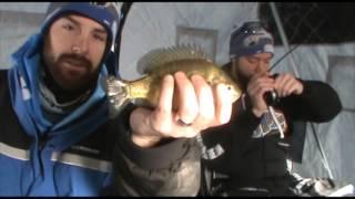 Bluegills on Ice - You Betcha! Outdoors (Ice Ep. 2)