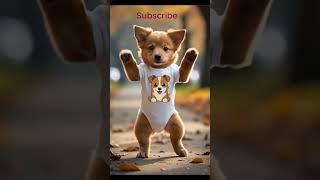 On a Slippery Street, A Glimpse of Joyful Dance  |  #cute #dogapparel #pets #dogshorts #dogclothes