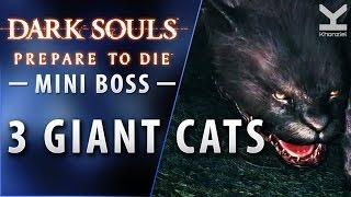 Dark Souls - Miniboss - 3 Giant Cats - Darkroot Garden