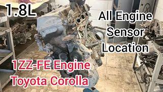 1ZZ-FE Engine All Sensor Locations Of Toyota Corolla 1.8L