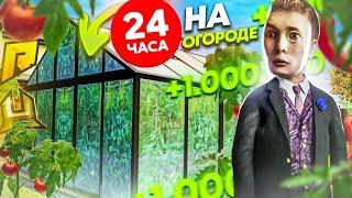 24 ЧАСА ЗАНИМАЛСЯ ОГОРОДОМ. СКОЛЬКО МОЖНО ЗАРАБОТАТЬ? ЧТО ЛУЧШЕ САЖАТЬ? (RADMIR RP / HASSLE ONLINE)