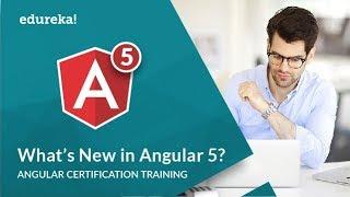 What's New In Angular 5 | Angular 5 New Features | Angular 5 Tutorial For Beginners | Edureka