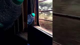 #shorts #short #shots #shortvideo Mohammad Jamil Akhtar
