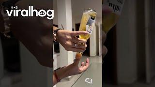 Beer Freezes Instantly || ViralHog