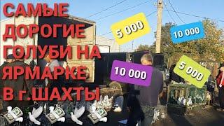  Самые дорогие голуби на ярмарке в г.Шахты. Птичий рынок 06.10. 24. Pigeon Fair. Bird Market.