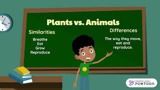 Plants vs. Animals: Similarities and Differences