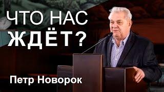 ЧТО НАС ЖДЕТ? Петр Новорок