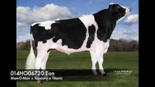 014HO06720 Eon