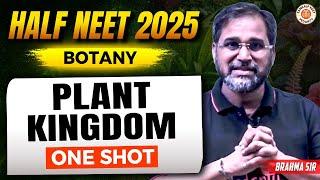 PLANT KINGDOM CLASS 11 ONE SHOT | ALL CONCEPTS & THEORY | HALF NEET 2025 | BOTANY BY TARUN SIR