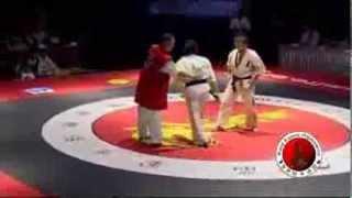 2010 WKO World Kumite Championships Middleweight  First Fight Level 2