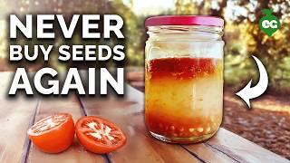 How to Save Seeds: Seed Saving Techniques EXPLAINED