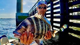LEFT THEM BITING - Bridge Sheepshead Fishing