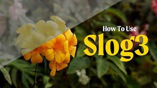 How To Shoot & Edit Slog 3 Footage