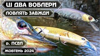  ДВА ВОБЛЕРИ, які ЛОВЛЯТЬ ЩУКУ ЗАВЖДИ і СКРІЗЬ! Осінній ТВІЧІНГ на МАКСИМУМ на річці ПСЕЛ 