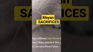 Mayan Secrets: Human SACRIFICES #maya #mayans