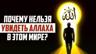 Почему Аллахﷻ не показывает Себя людям?