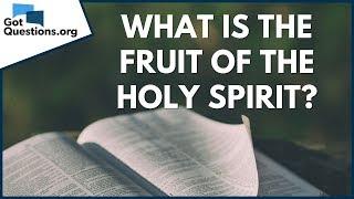 What is the fruit of the Holy Spirit? | GotQuestions.org