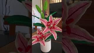 CROCHET LILY STARGAZER FLOWER