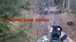 Fast Flying Wild Boar / Driven Hunting Czech Republic / Chasse Sanglier / Blaser & Aimpoint