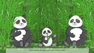 The Giant panda class 3 chapter 4