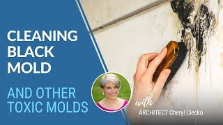 Cleaning Black Mold | EPISODE 14 Building Well & Avoiding Mold