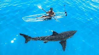 Exploring For Great White Sharks In Transparent Kayak