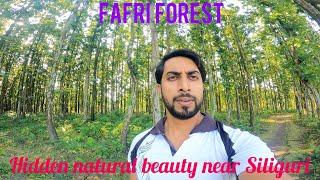 Hidden gem near Siliguri |fafri forest | #nature #viralvideo #motovlog