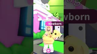 план скама вы так когда-нибудь делали? #roblox #adoptme