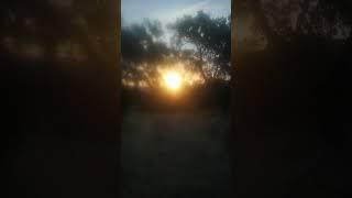 Hazy sunrise #nature