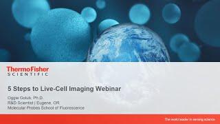 Best practices: 5 steps to live-cell imaging