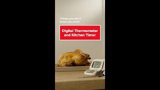 Best Thermometer for Perfect Temps