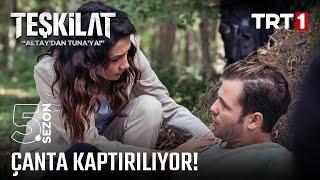 Altay çantayı daha fazla koruyamadı... | #Teşkilat 115. Bölüm @trt1