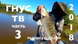 МОШКУ СДУЛО! СУДАКУ ПОФИГ))!!! ГНУС ТВ часть 3. Evergreen Poseidon Squidlaw SS 84MH