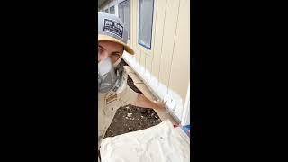 Ask A Painter Live #208: Exterior Painting Basics Part 2