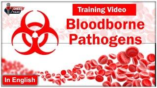 Bloodborne Pathogens Training Video – Safety Precautions, Syndromes & Diseases #SheelTalks