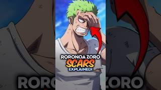 How Did Zoro Gets His Scars (chest, leg, eyes) in One Piece, explained #onepiece