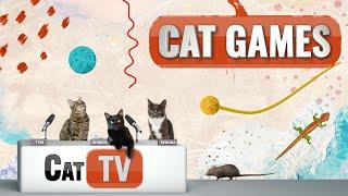 Cat Games | Ultimate Cat TV Compilation Vol 7 | 1 HOUR    