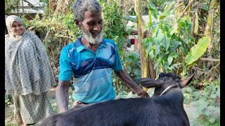 সুজাপ ভাই কে গরু কিনে দিয়ে সারপ্রাইজ দিলাম | Doyel Agro