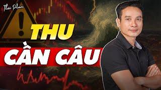   THU CẦN CÂU? | THAI PHAM